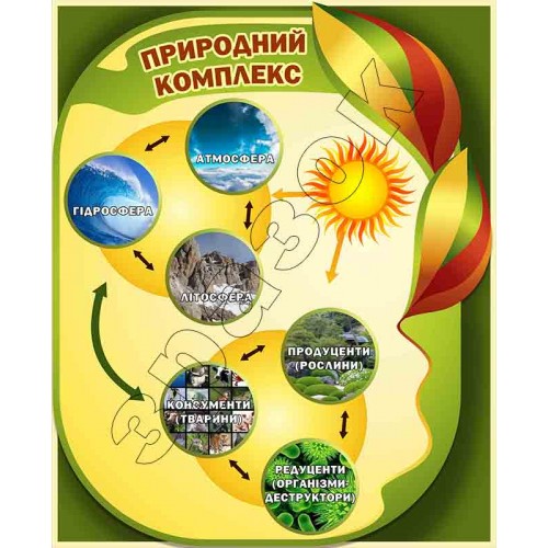 Стенд пластиковий Природний комплекс 24