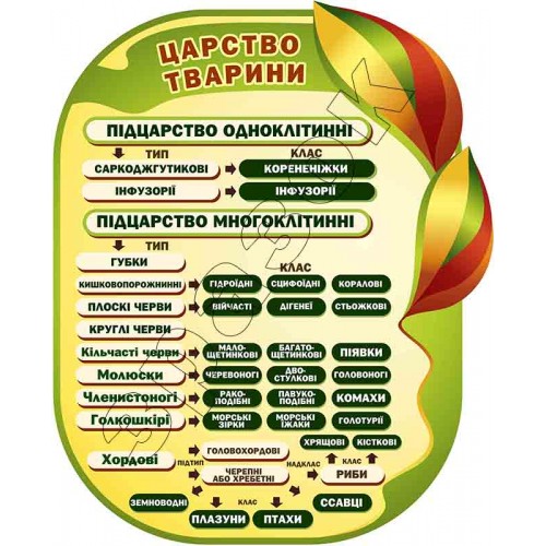 Стенд  з пластику Царство тварин 25