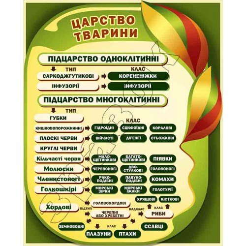 Стенд Царство тварини кабінет біології 26