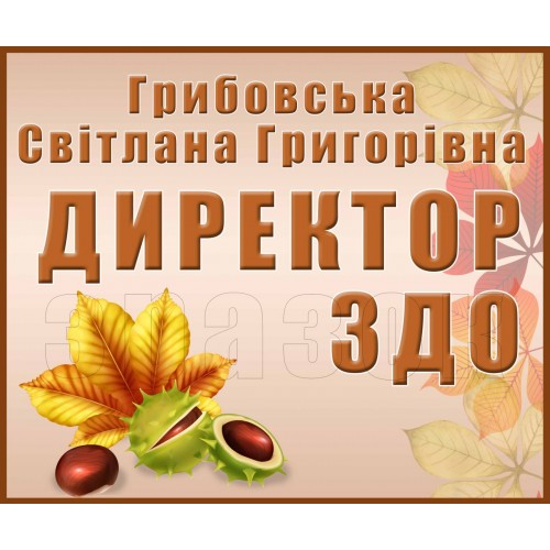 табличка пвх директор для днз 302