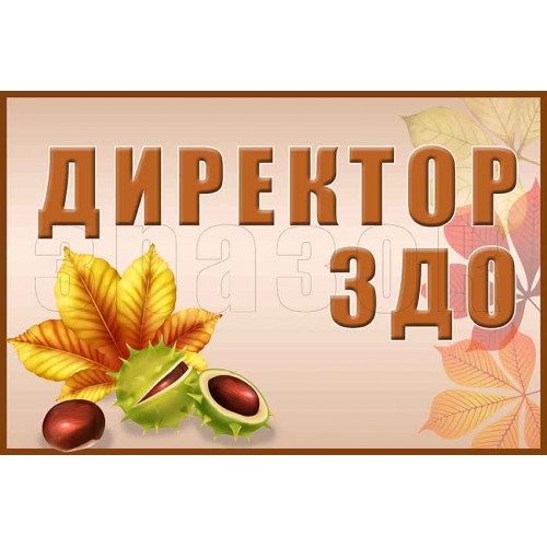 табличка на двері директор здо  315