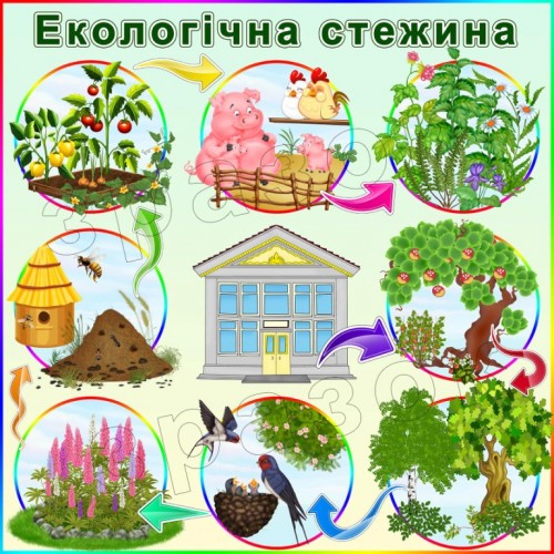 екологічна стежина замовити садок школу початкові класи нуш 141