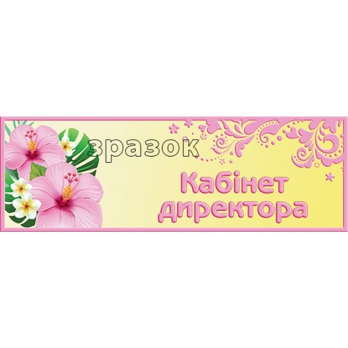 табличка з пластику кабінет директора в дитсадок замовити 204