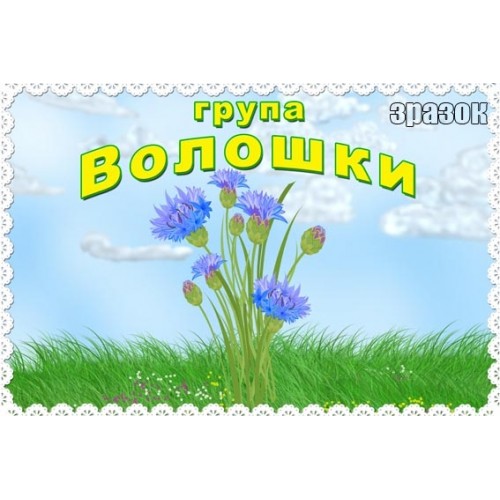 Табличка група Волошки в садок 215