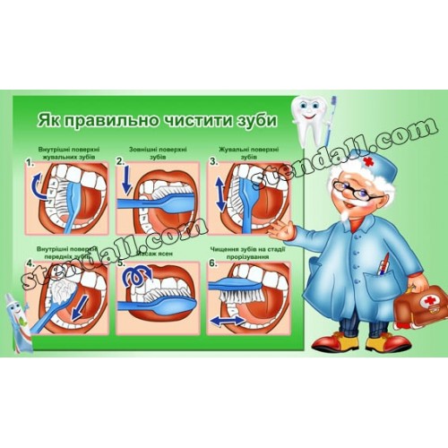 стенд як правильно чистити зуби 69